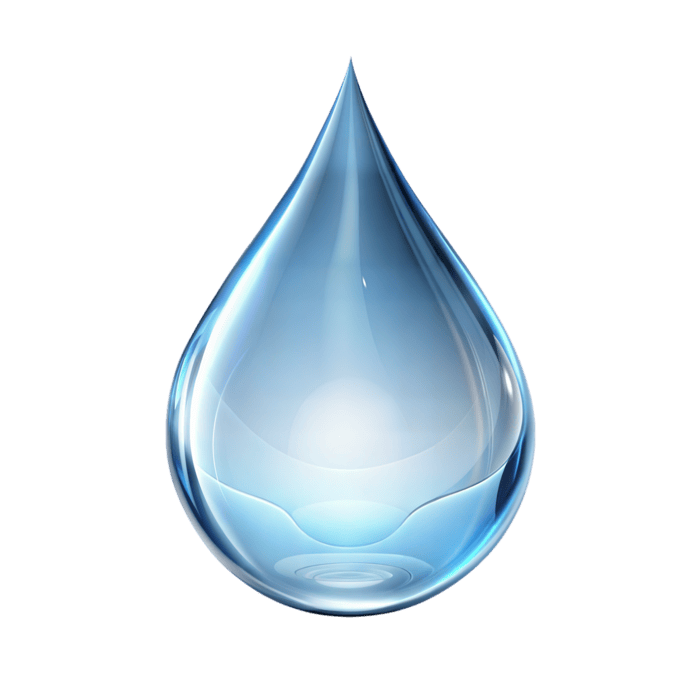 Purified Water