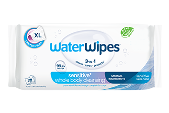 1 Pack (30 Wipes)