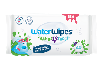 1 Pack (40 Wipes)